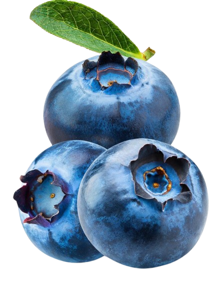blueberry-fresh-raw-berries-isolated-white-background-with-clipping-path-collection_851674-72456-removebg-preview